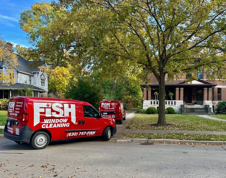 Two red FISH Window Cleaning vans parked on a tree-lined Chicago suburban street